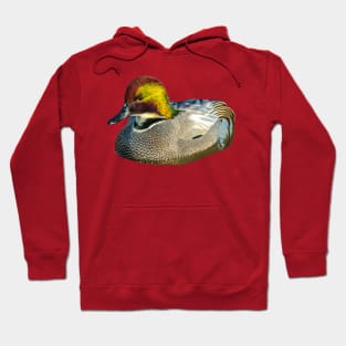 Iridescent Falcated Teal Hoodie